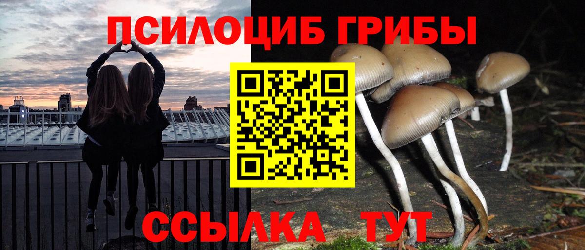 Псилоцибиновые грибы Magic Shrooms  Галлюциногенные грибы прущие грибы  Шахты  Вход с VPN 